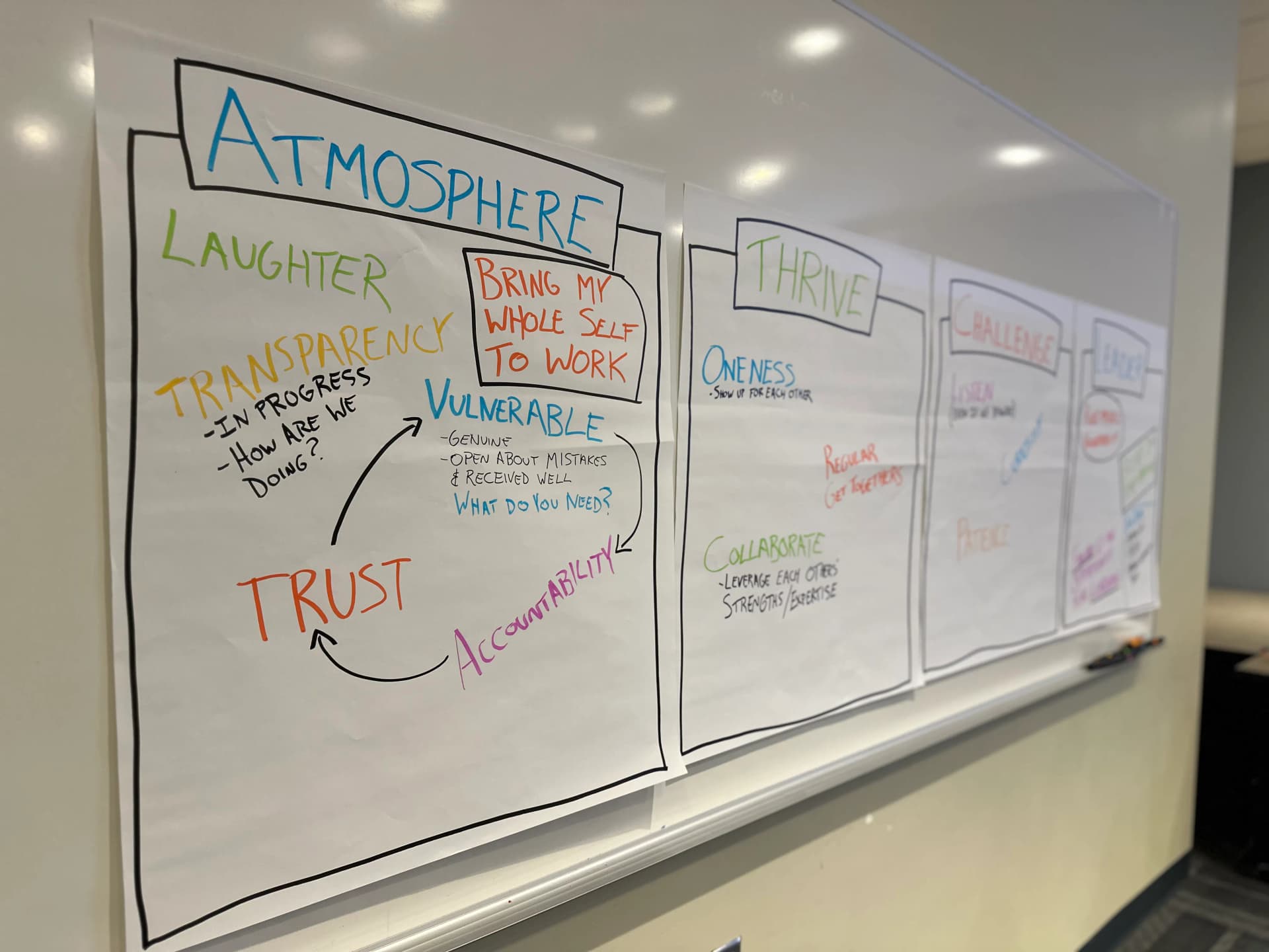 University Wellness Leadership: Reconnection & Growth Workshop media 8